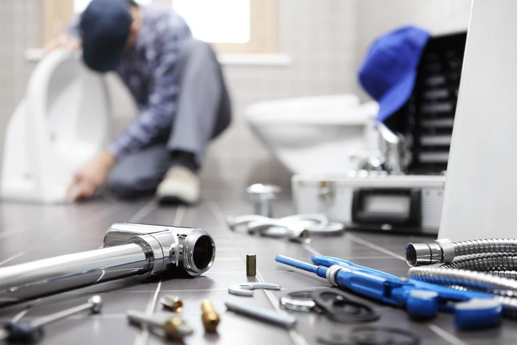 Servicii oferite de instalatorii nostri in sectorul 2